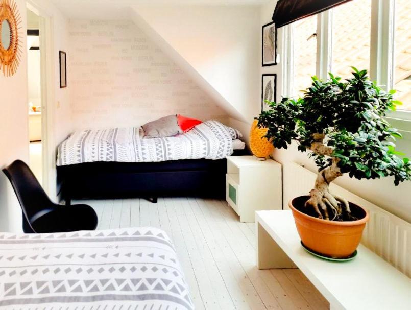 Appartement B&B Pandhouse Oud-Beijerland Eksteriør billede